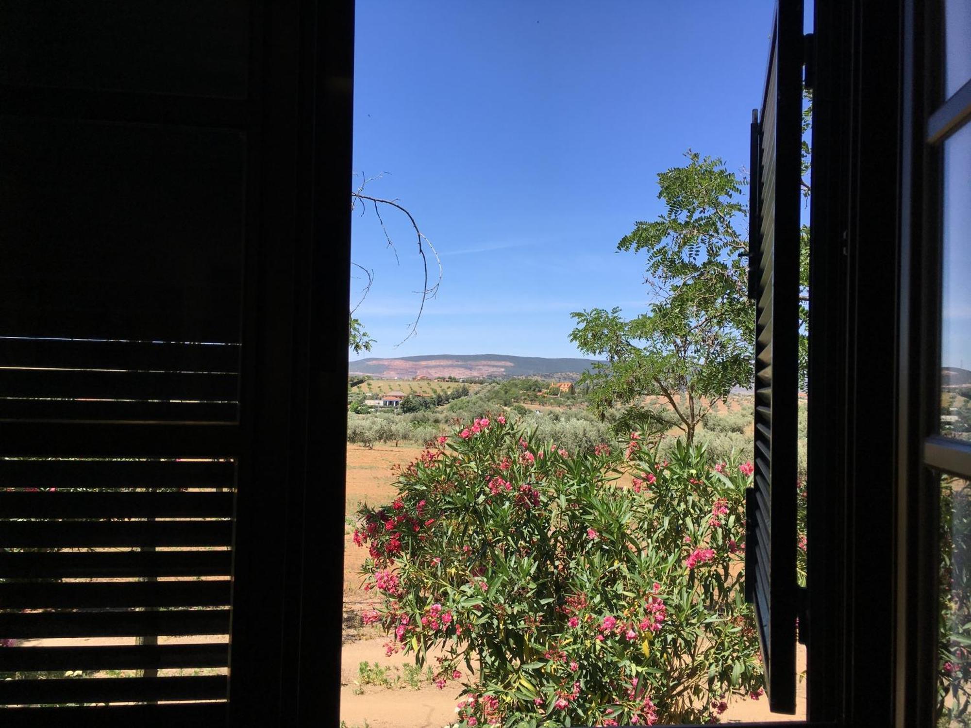Apartamentos Atalayas Extremadura Сафра Номер фото