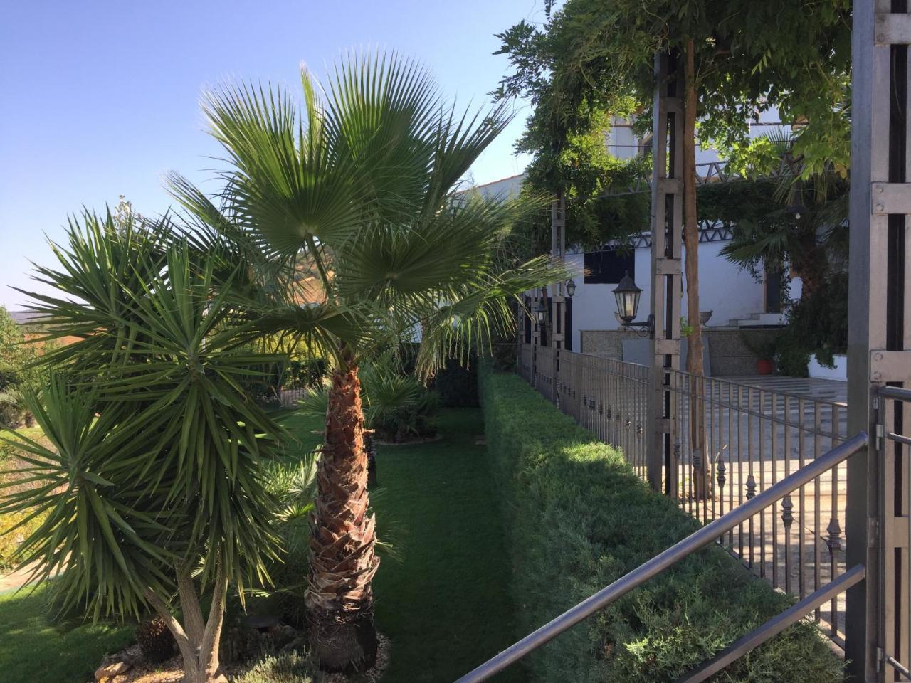Apartamentos Atalayas Extremadura Сафра Экстерьер фото